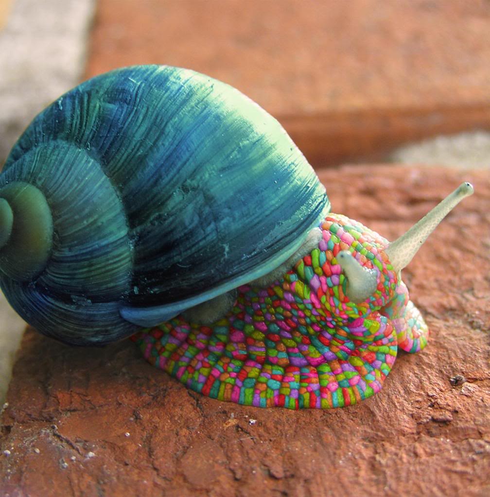 snailpsychedelicsnail.jpg
