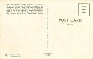 postcard back.jpg