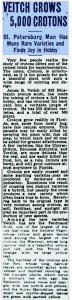 St Petersburg Times 22.11.1936 pg25.jpg