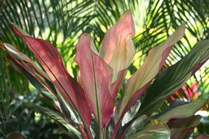 IMG_0319.jpg