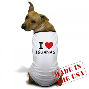 Iguanas 4.jpg