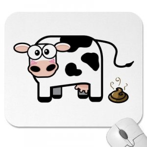 cow poop.jpg