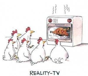 reality_tv_for_chickens-12075.jpg