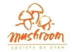 mushroom society 2.jpg