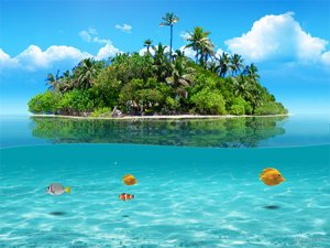 Rob's Tropical Island.jpg