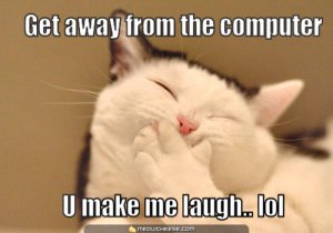 01-laughing-cat.jpg