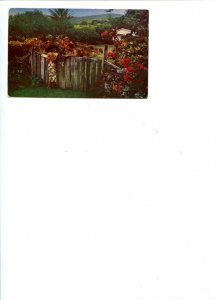img007.jpg