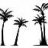 Palm Lover