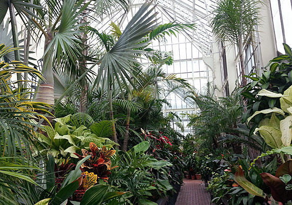 conservatory-main-crop-for-web.jpg